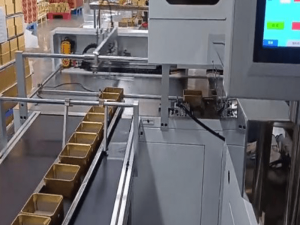 Full-Automatic Eyeshadow Case Assembly Machine (1)