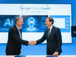 HMS-网络-2025-年度报告-331-3