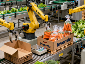 Fully Automated Vegetable Packaging
