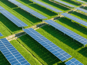 High-Quality Solar Power Assets